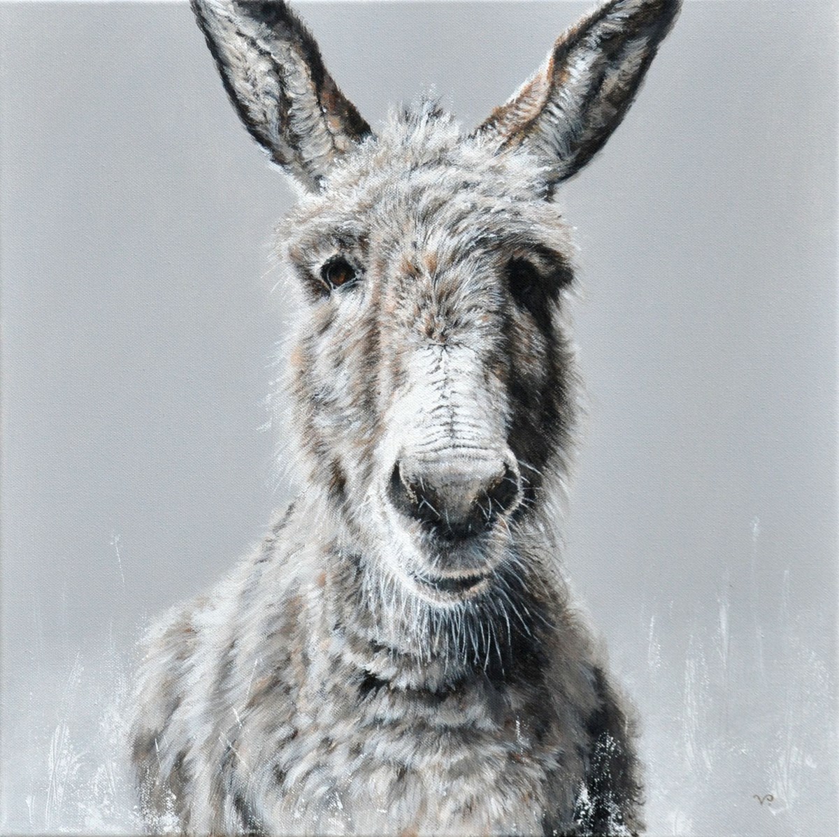 Happy Donkey