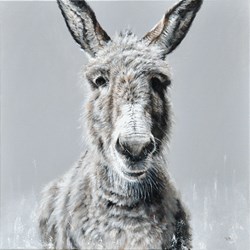 Happy Donkey by Vicky Palmer - Original Painting on Stretched Canvas sized 20x20 inches. Available from Whitewall Galleries